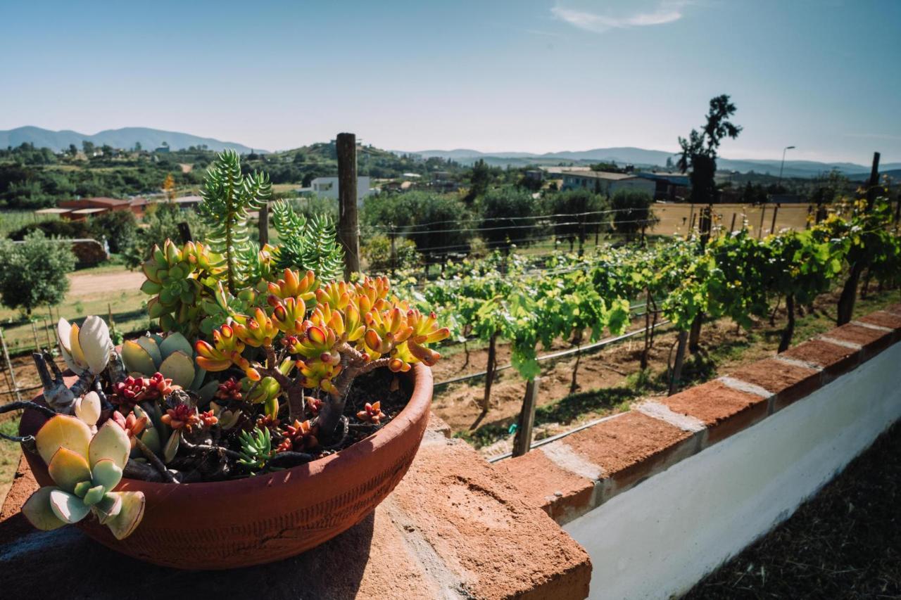 Quinta Sofia Valle De Guadalupe (Adults Only) Exterior foto