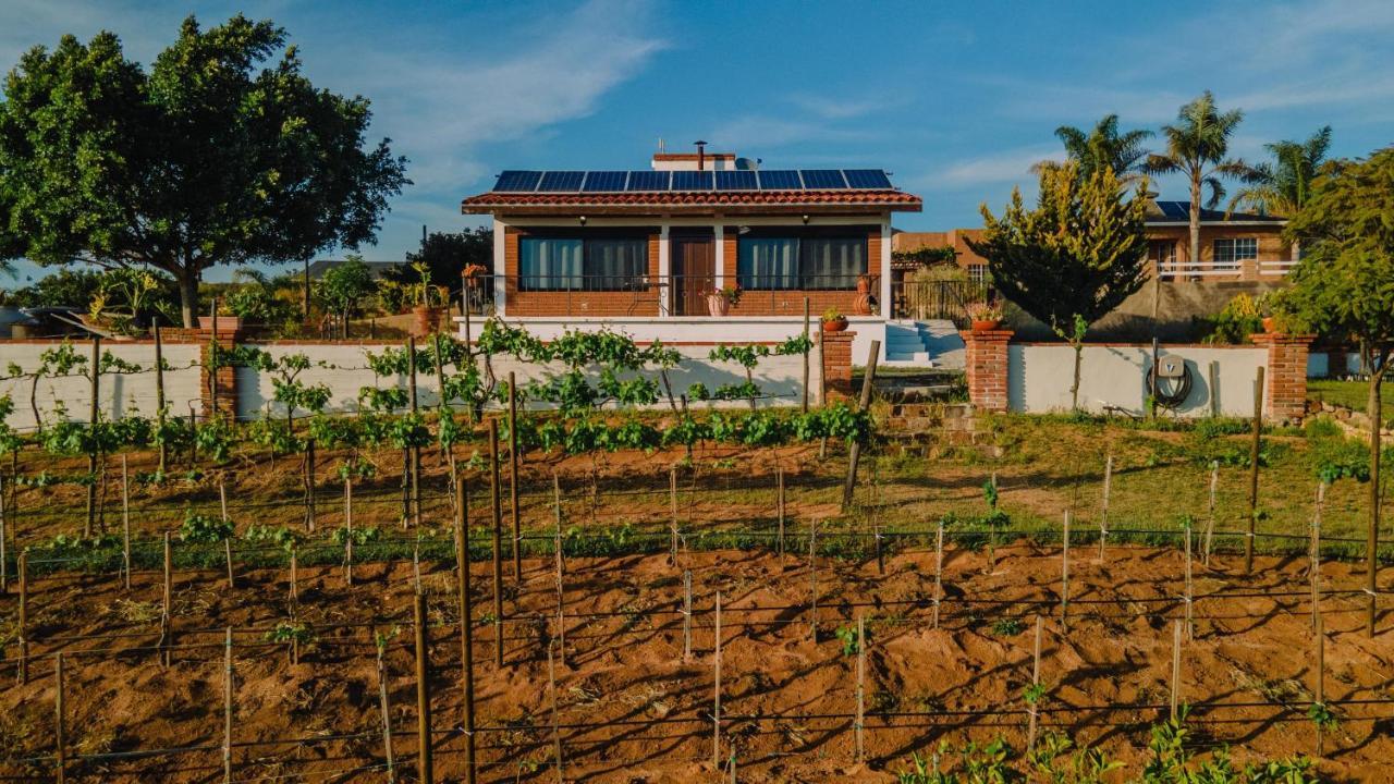 Quinta Sofia Valle De Guadalupe (Adults Only) Exterior foto