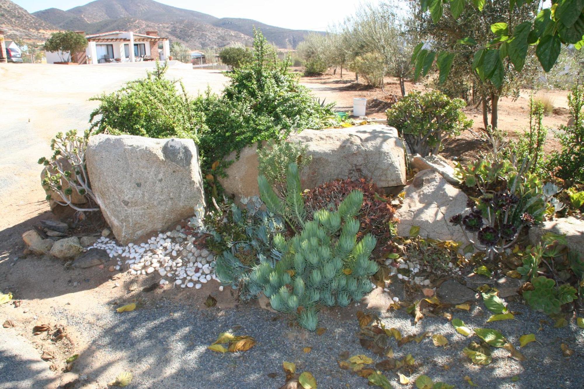 Quinta Sofia Valle De Guadalupe (Adults Only) Exterior foto
