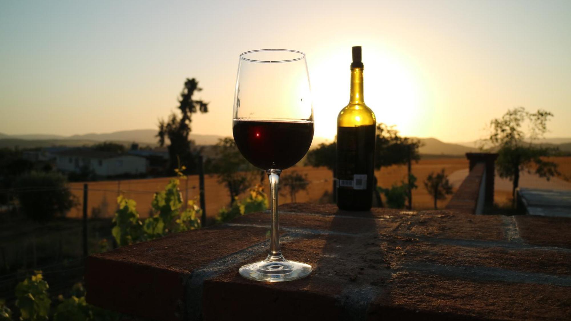 Quinta Sofia Valle De Guadalupe (Adults Only) Exterior foto