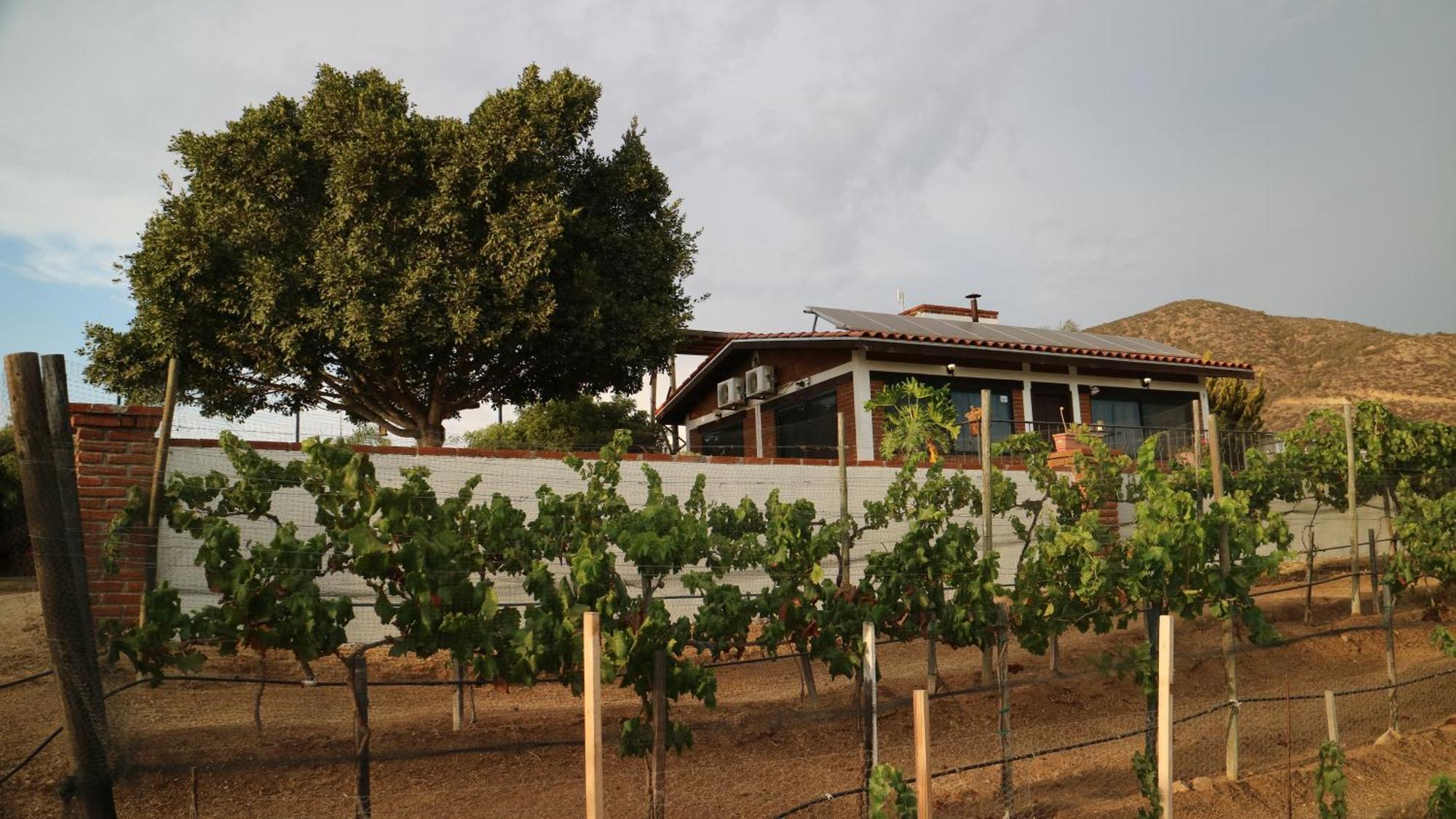 Quinta Sofia Valle De Guadalupe (Adults Only) Exterior foto